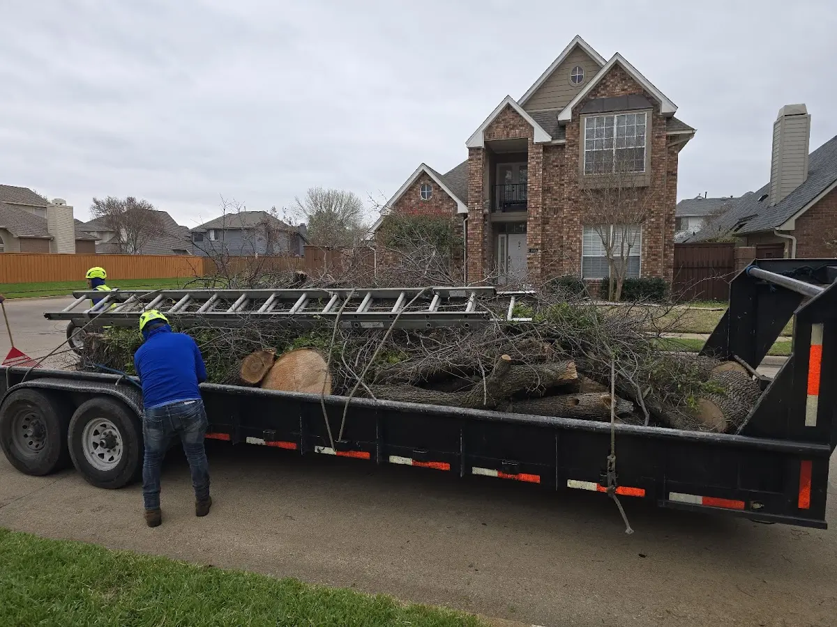 Expert Tree Fertilization with proper safety equipment in Midland Park
